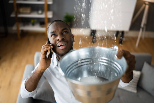 Best Carpet water damage restoration  in Bedford Hills, NY