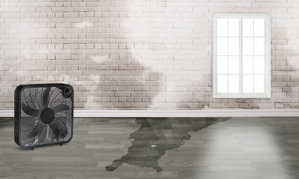 Best Water damage restoration near me  in Bedford Hills, NY