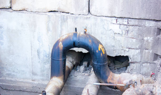 Best Mold removal after water damage  in Bedford Hills, NY